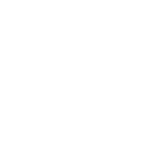 chat icon