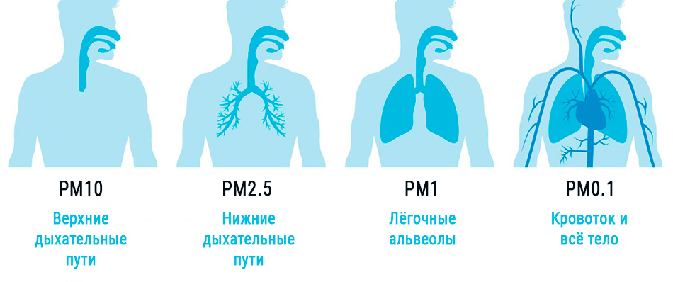 Глубина проникновения взвешенных частиц в организм человека в зависимости от их размера