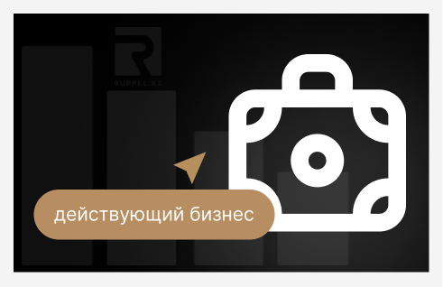 Иконка чемодана и надпись 'Действующий бизнес' – символ успешного предпринимательства.