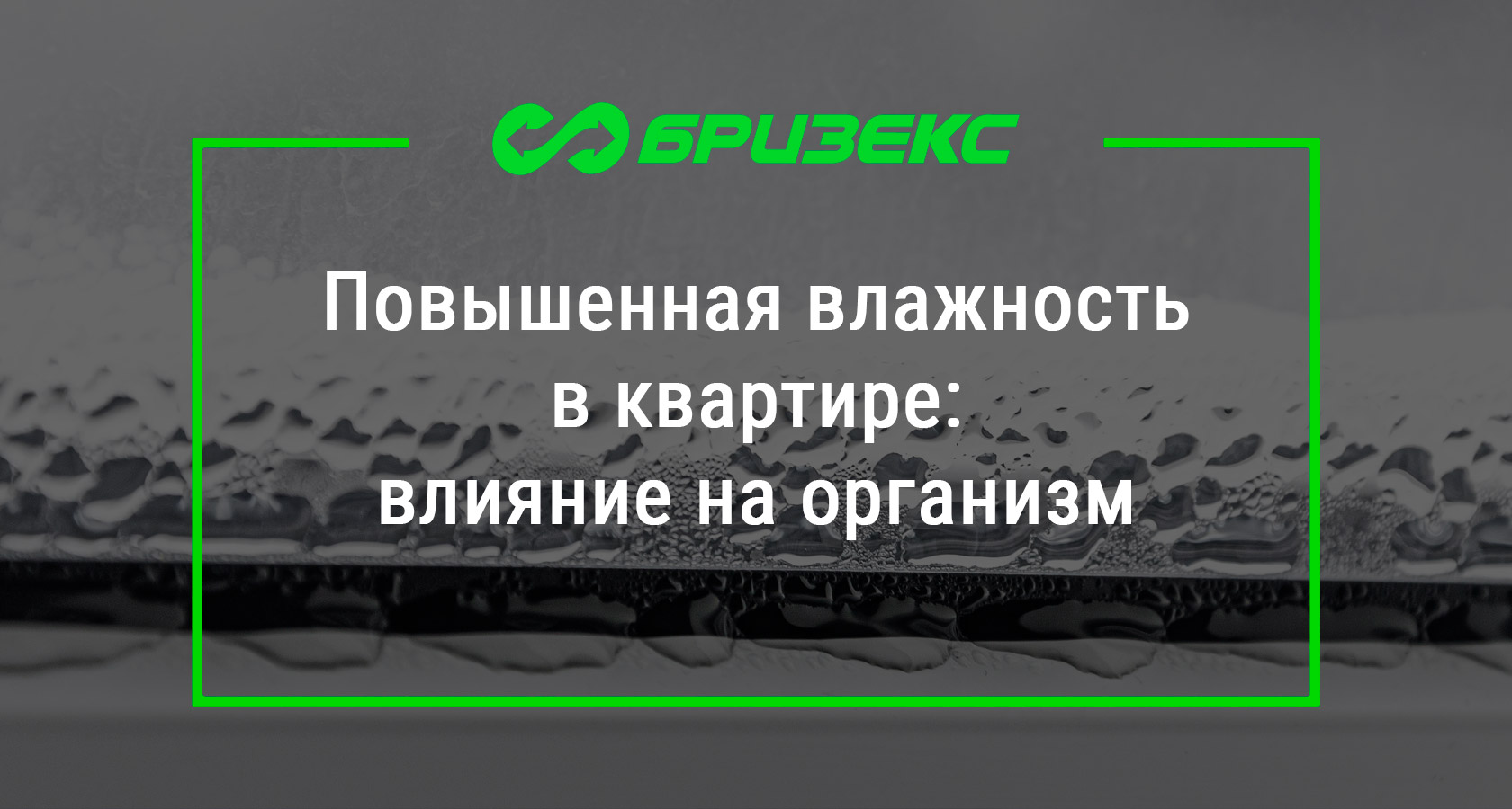 Повышенная влажность в квартире: влияние на организм