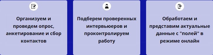 Описание организации опроса и анкетирования