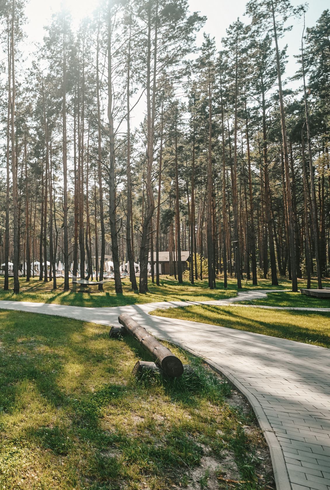 Фото места