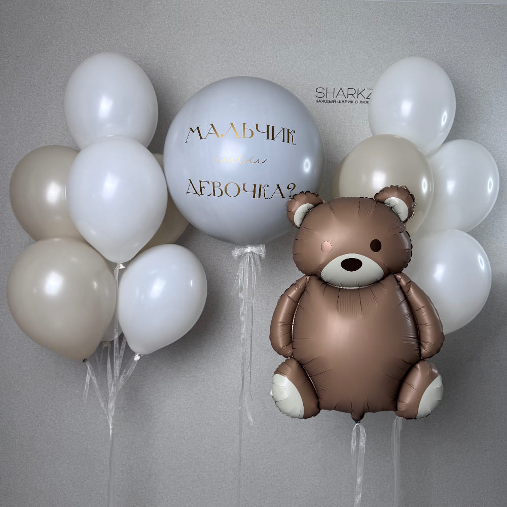 Большой шар Мальчик или Девочка с Мишкой
