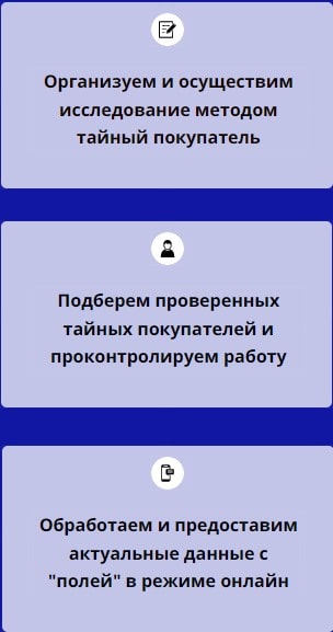 Описание организации полевых маркетинговых исследований