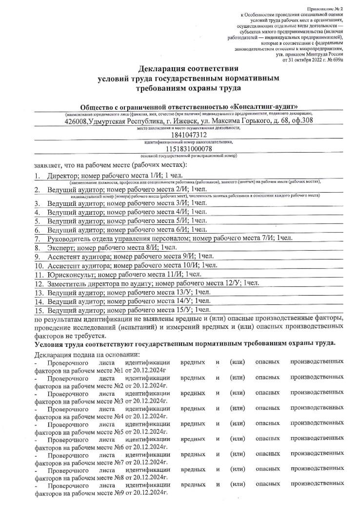 страховой полис консалтинг-аудит
