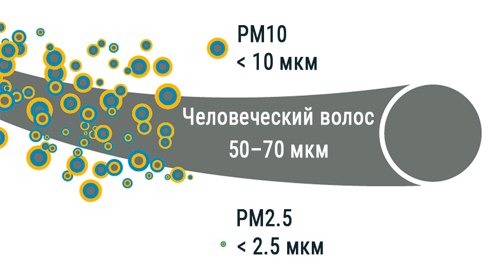 Сравнение размера PM2.5 и PM10 с размером волоса