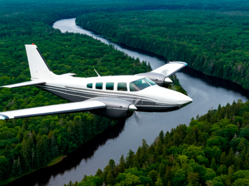 Piper Seneca