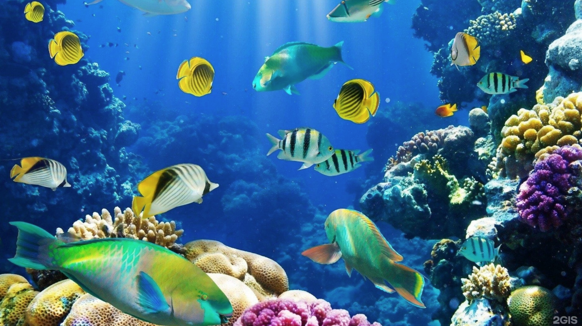 Казанский океанариум Казанский океанариум