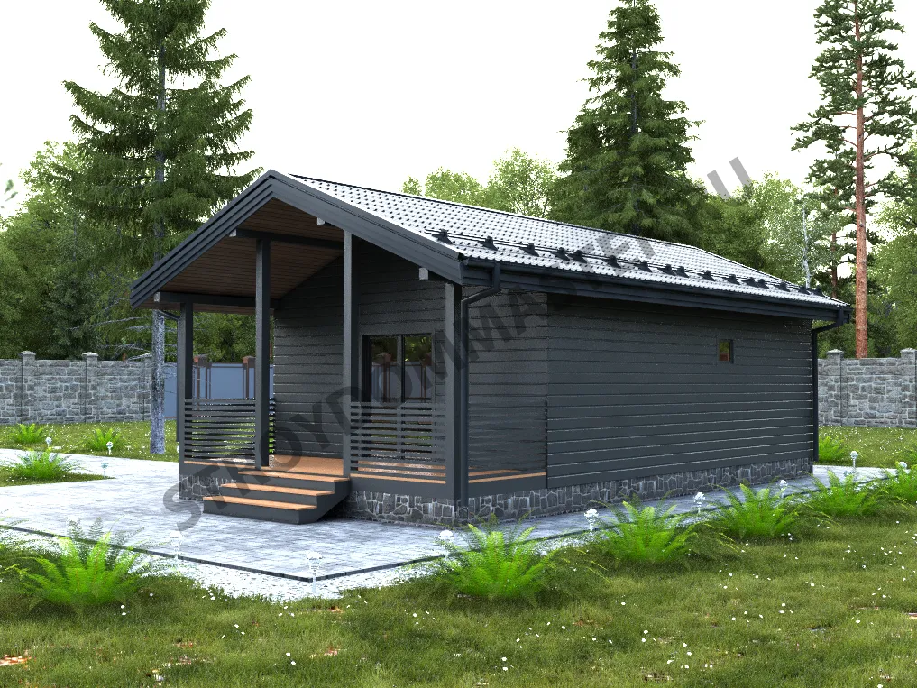 Каркасный дом СКАНДЕС 6Х11