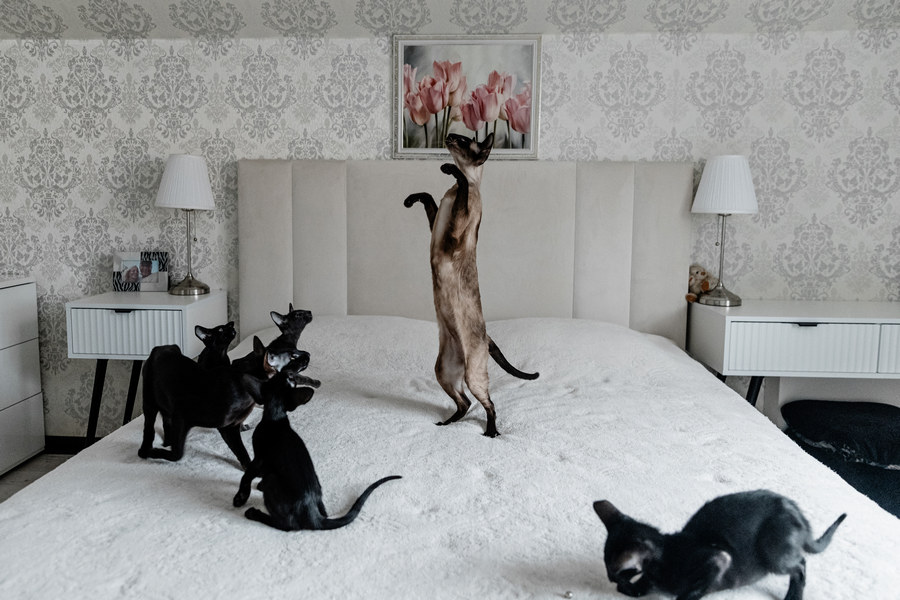 Интересный факт