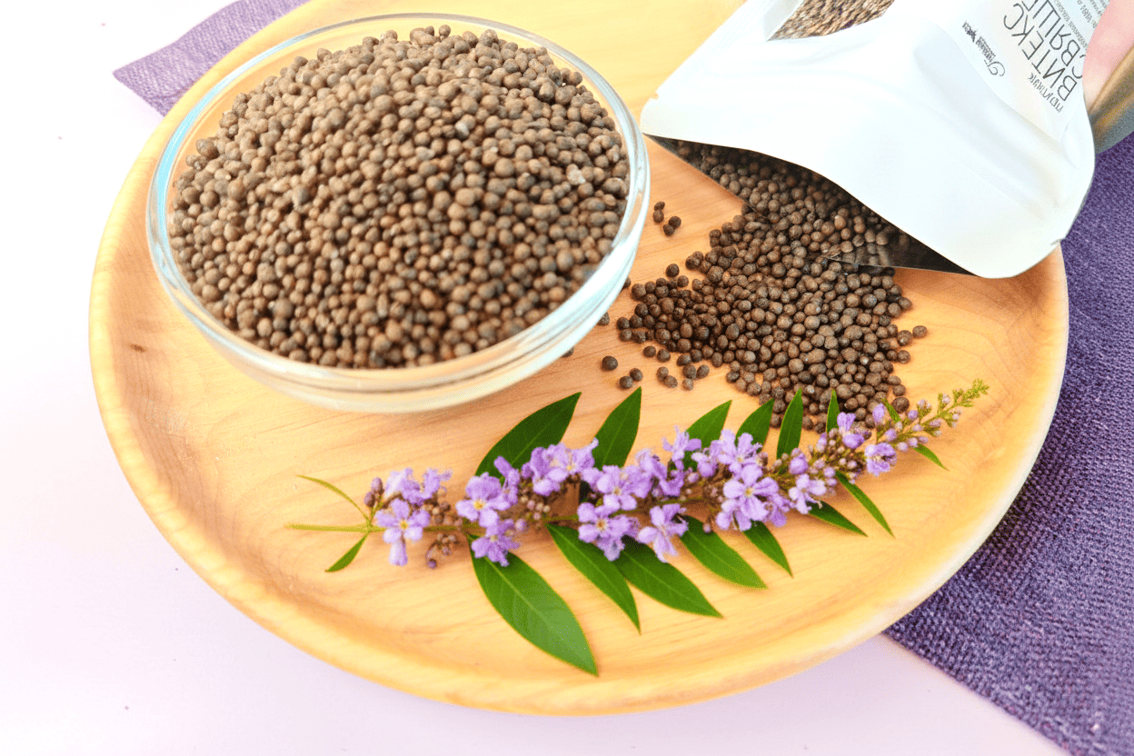 лисички желтые антипаразитарка