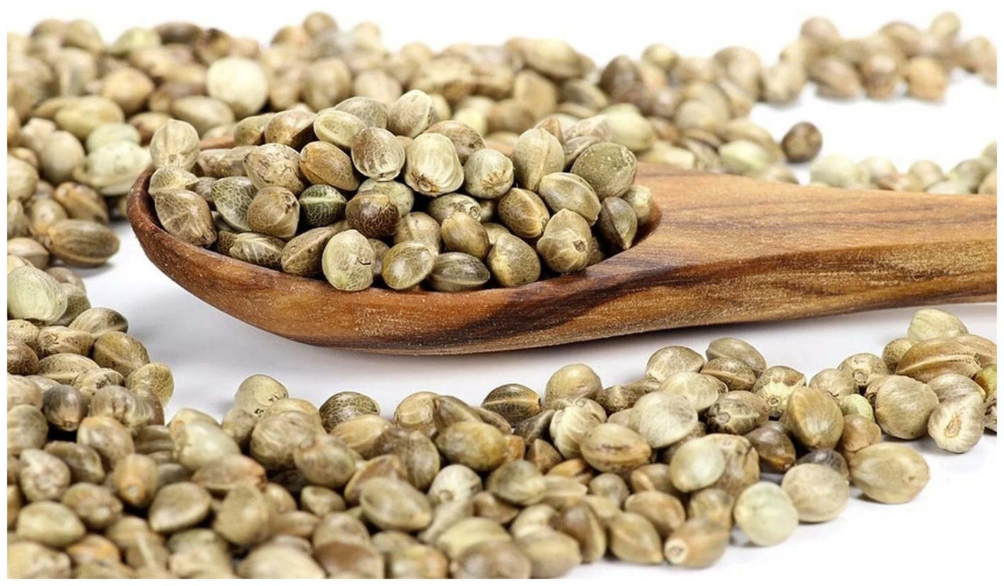 Семена КОНОПЛИ, вес