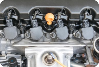 Уничтожение мышей, крыс, полёвок и других грызунов Уничтожение мышей, крыс, полёвок и других грызунов