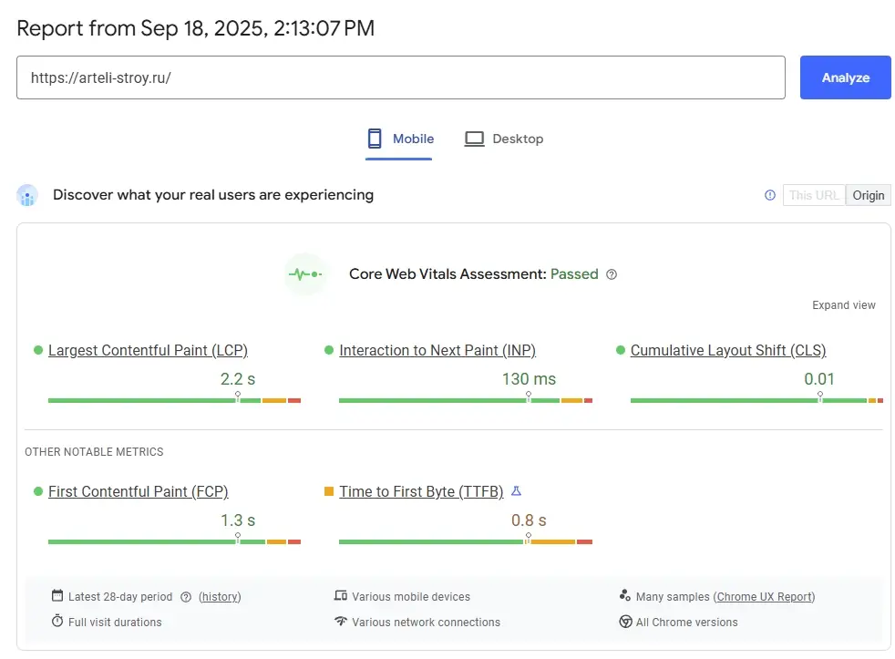 PageSpeed Insights фото