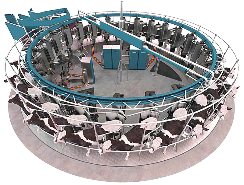 ПЛАТФОРМЫ ДЛЯ ДОИЛЬНЫХ ЗАЛОВ