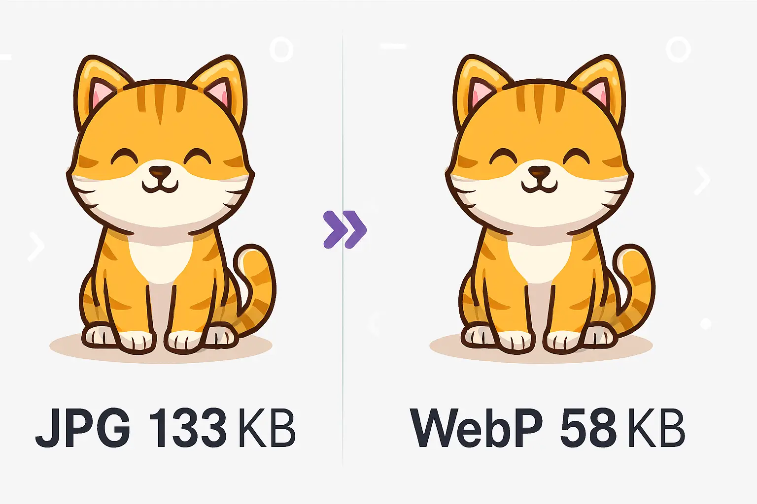 WebP или jpg фото