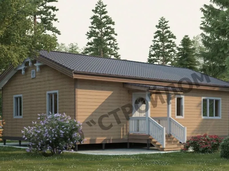 Каркасный дом ОМОЛОН 8Х12