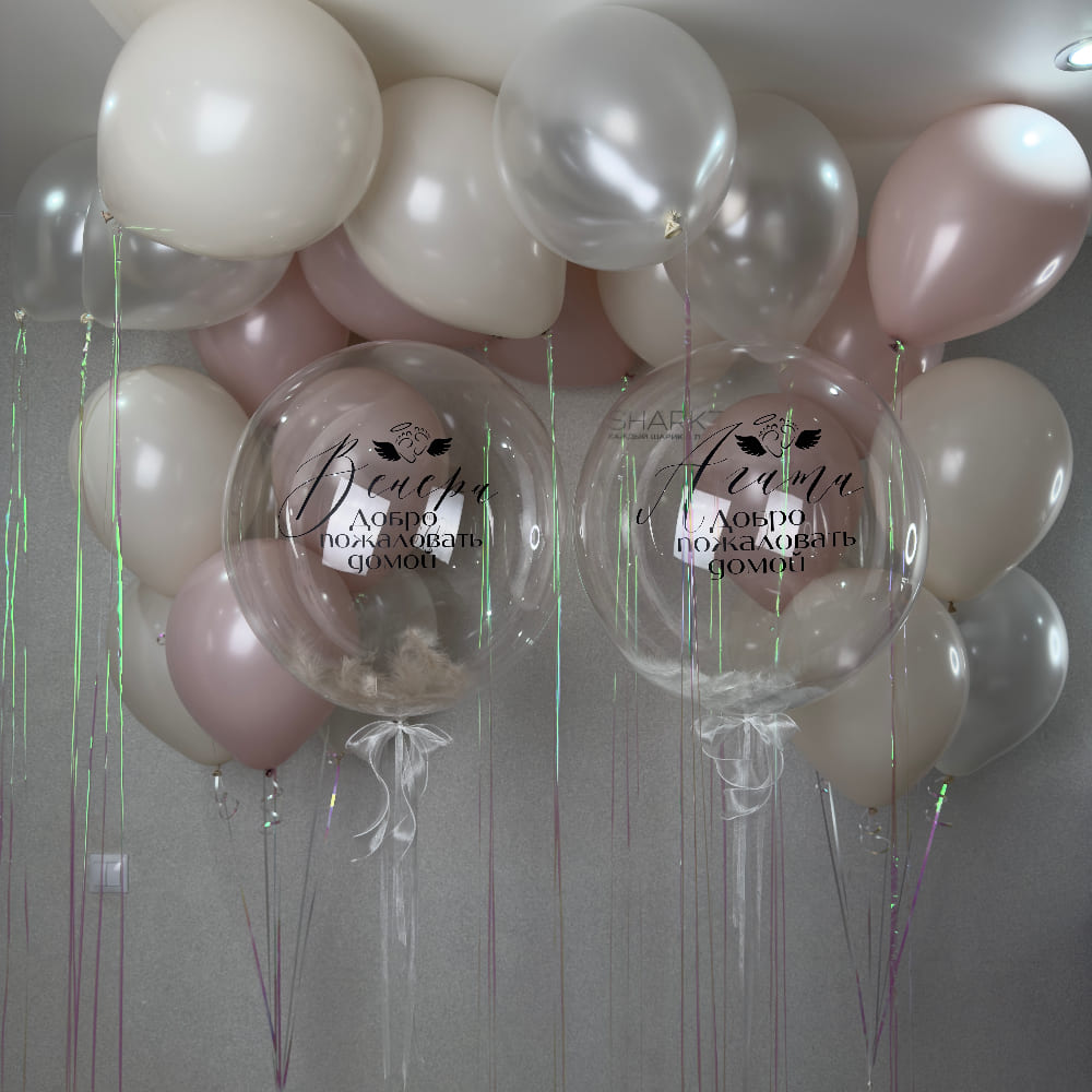 Шары на выписку близнецов для девочек