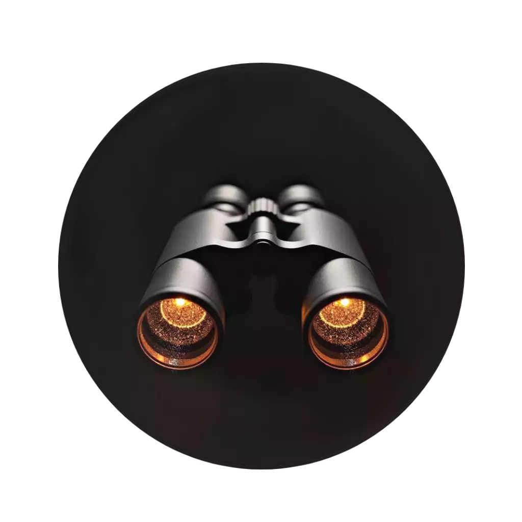 Бинокль - услуга по маркетинговому аудиту