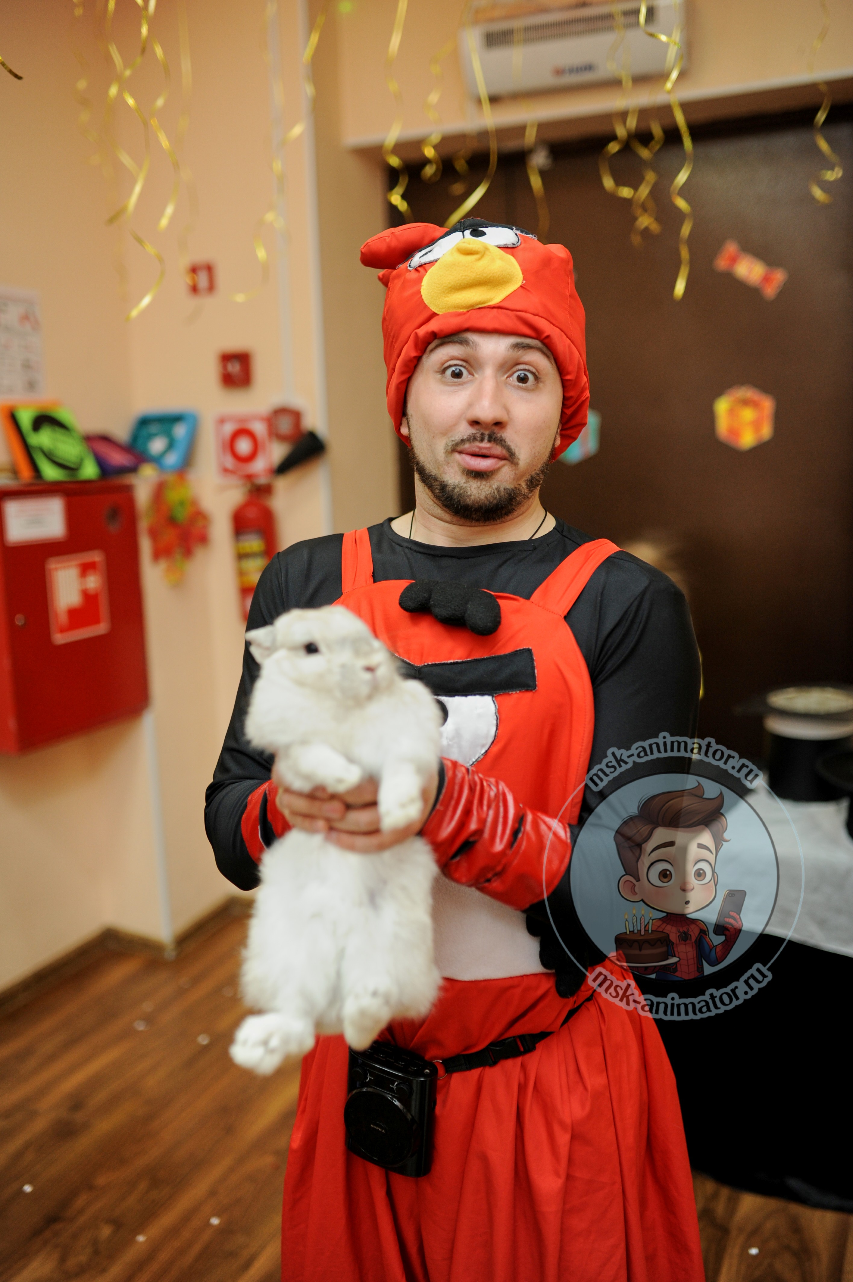 animator-engri-berds