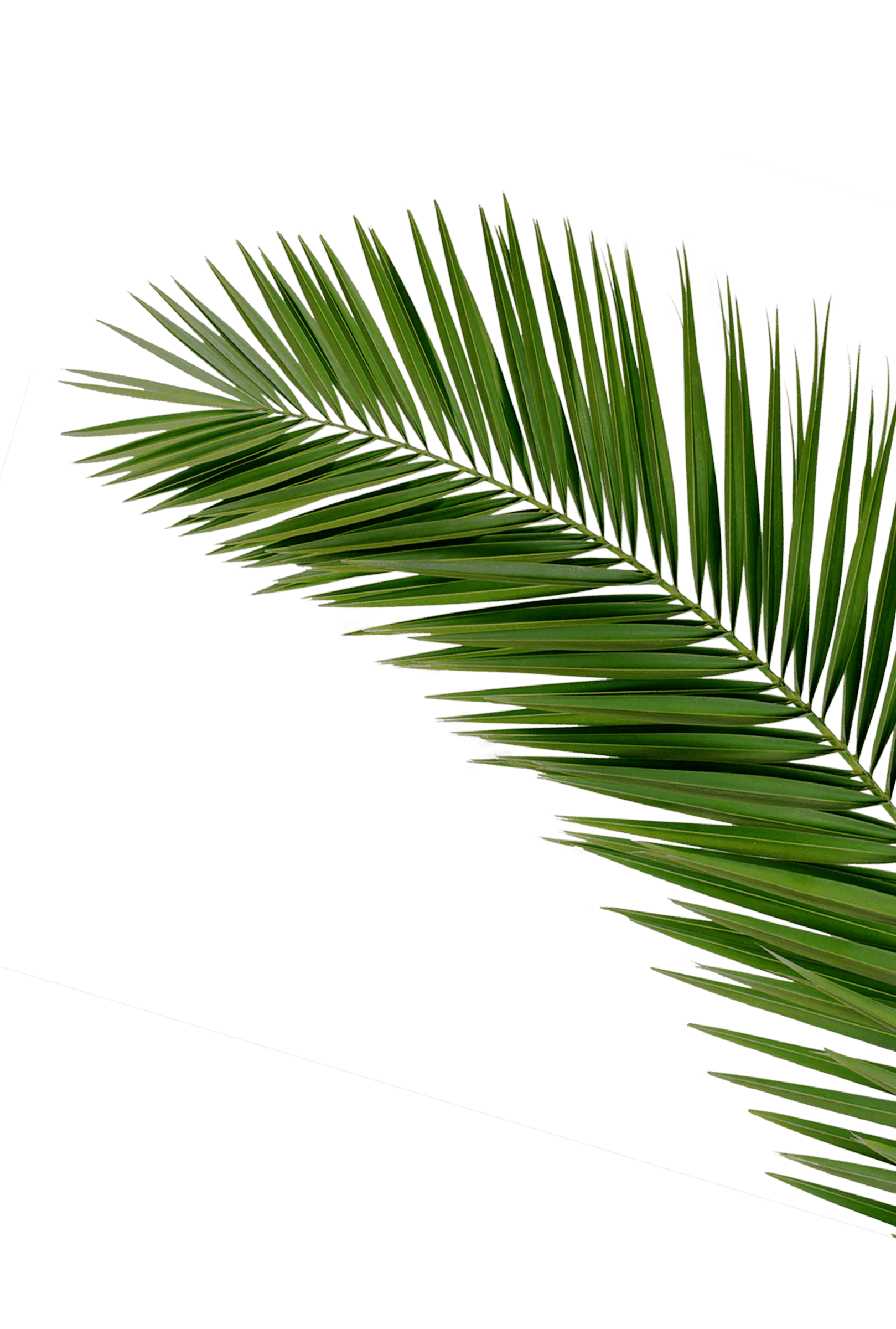 спа салон в Тольятти спа салон в Тольятти