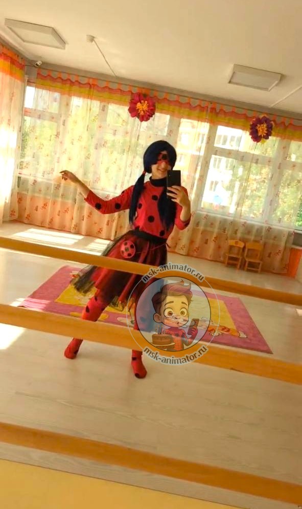 animatory-ledi-bag-i-super-kot-na-den-rozhdeniya