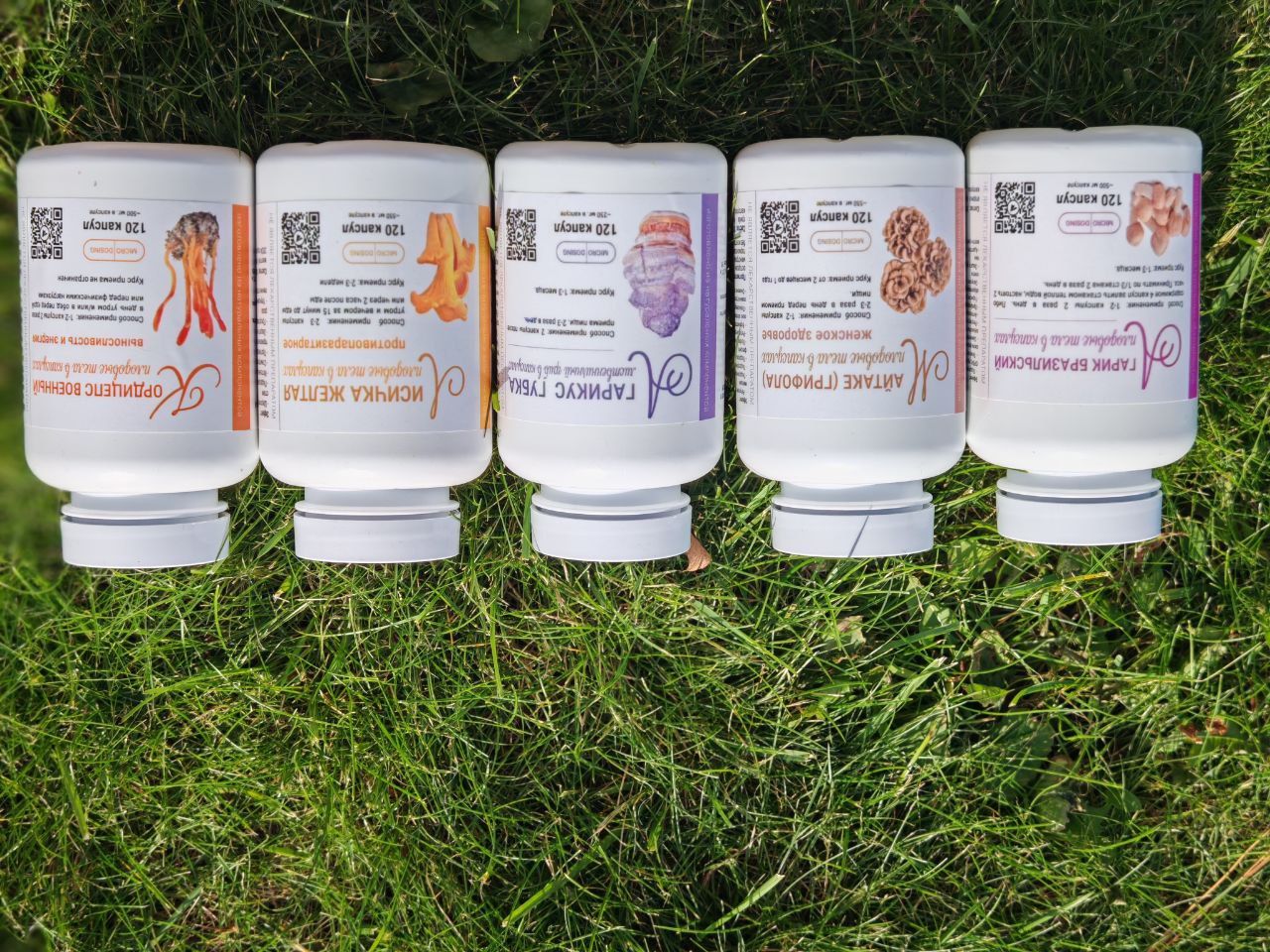 сушеный мухомор оптом купить