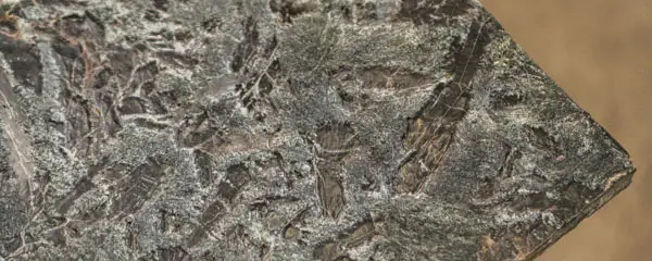 Гранитная плитка антик зеленый пироксенит сопка бунтина фото термообработанная