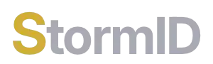 Логотип компании интернет-маркетинга StormID