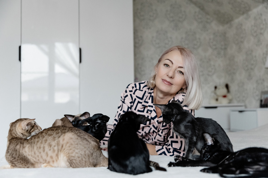 Разница между сиамом и ориенталом