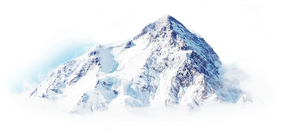 компания rating up Интернет-агентство