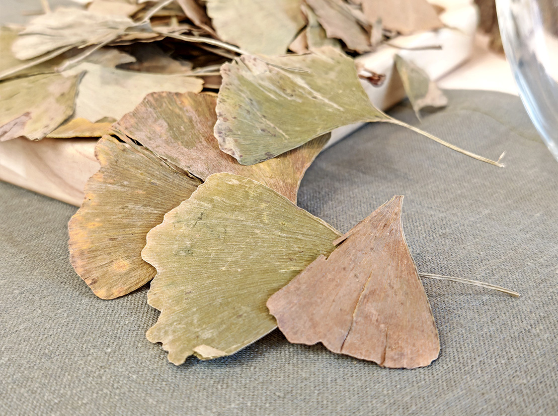 чай гинко билоба гингкобилоба гингко