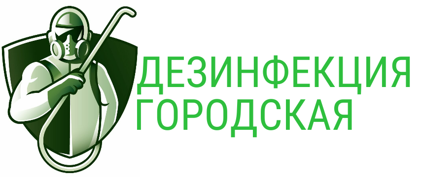 Дизенфекция городская