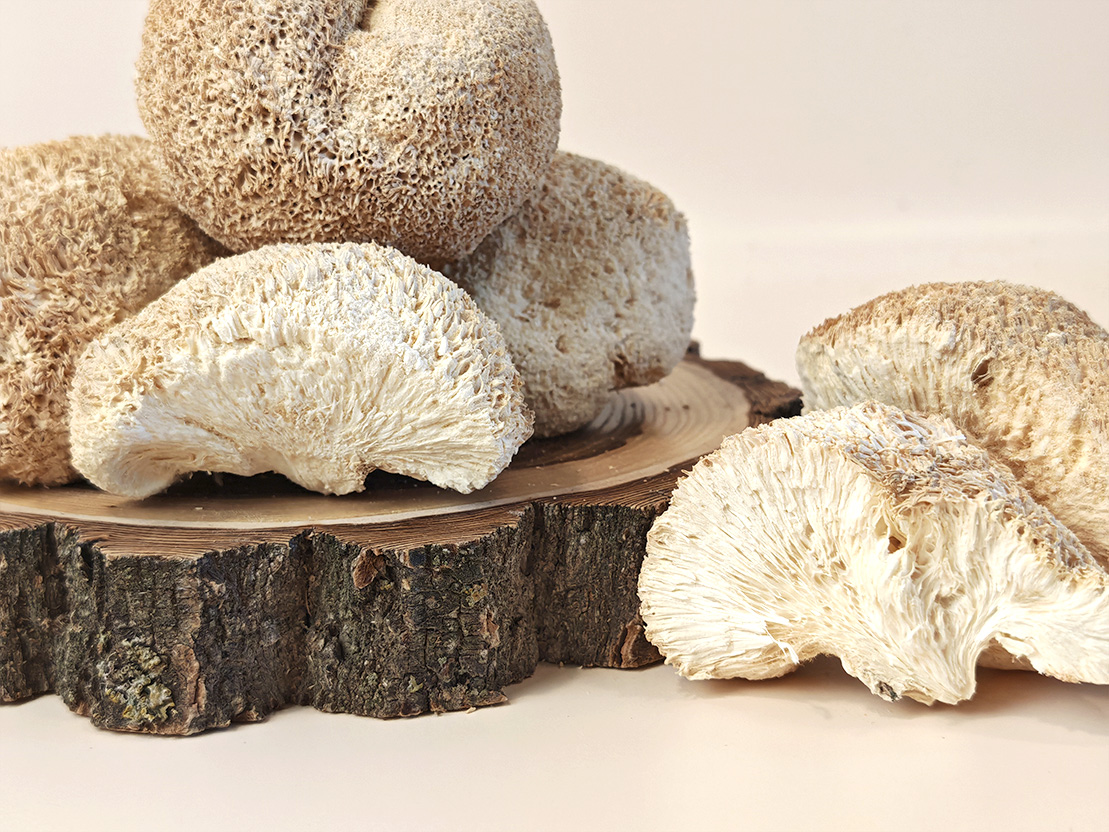 пантерный мухомор вакуумная упаковка в вакууме 