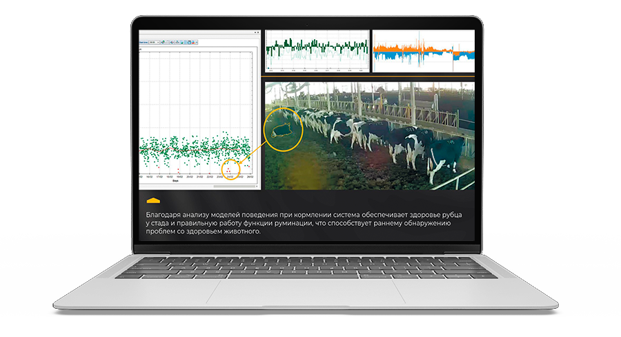 МОНИТОРИНГ ЗДОРОВЬЯ