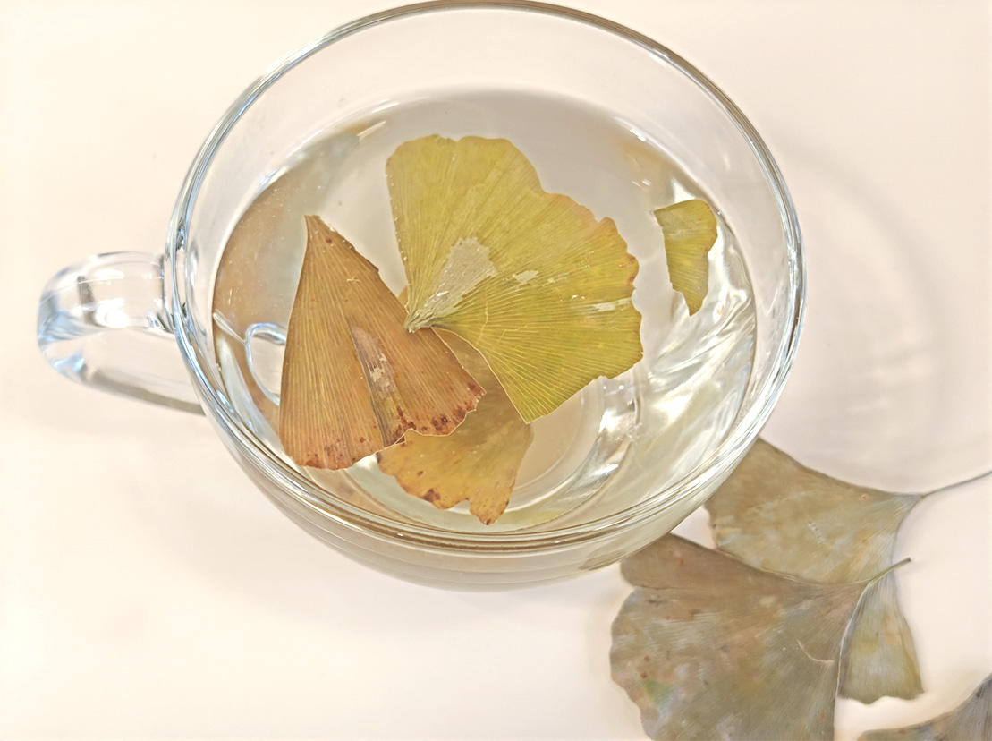 лисички желтые антипаразитарка