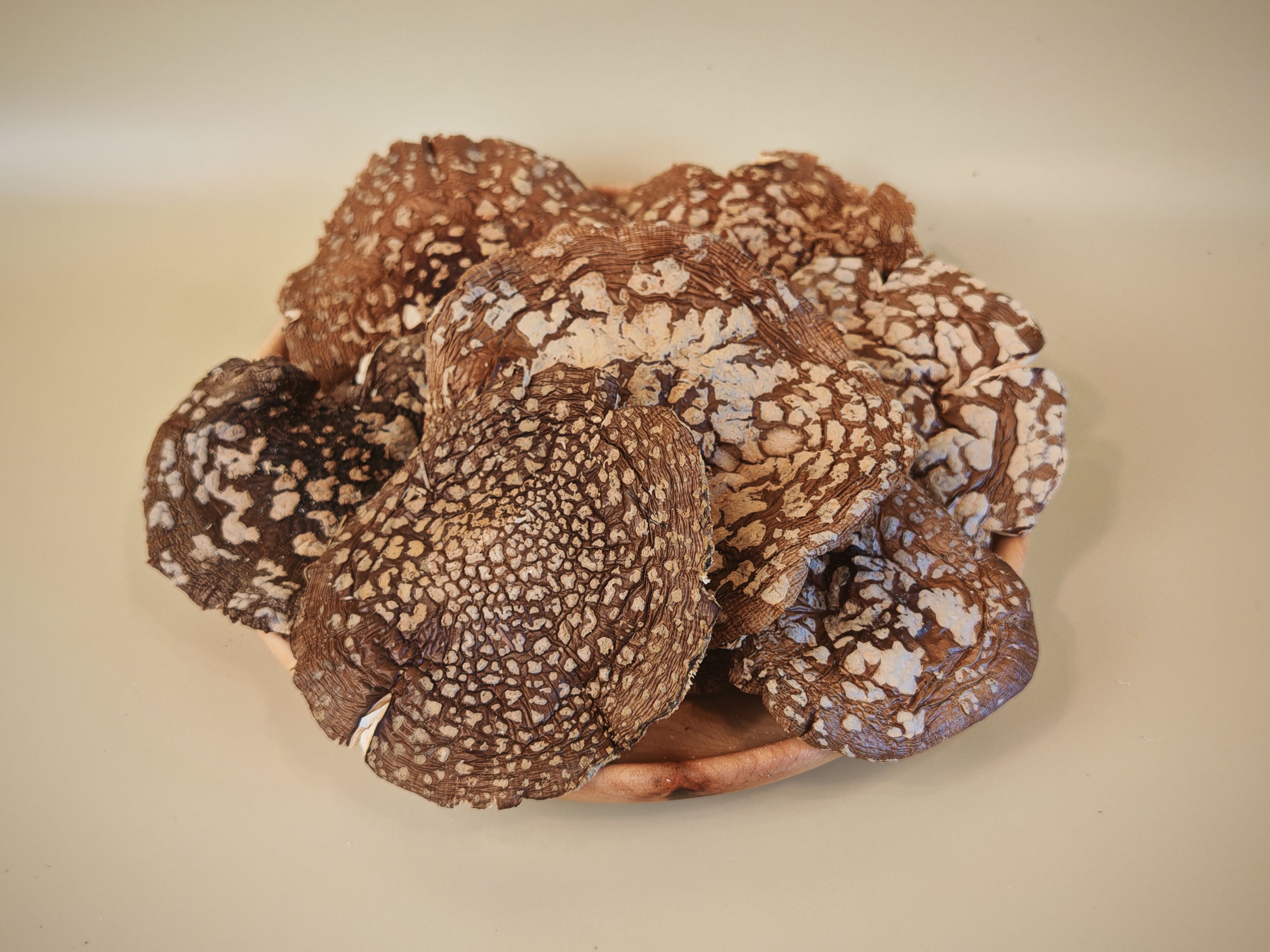 купить пантерный мухомор