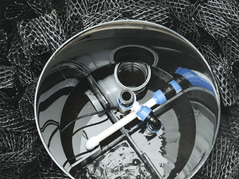 Диагностика септика Диагностика септика