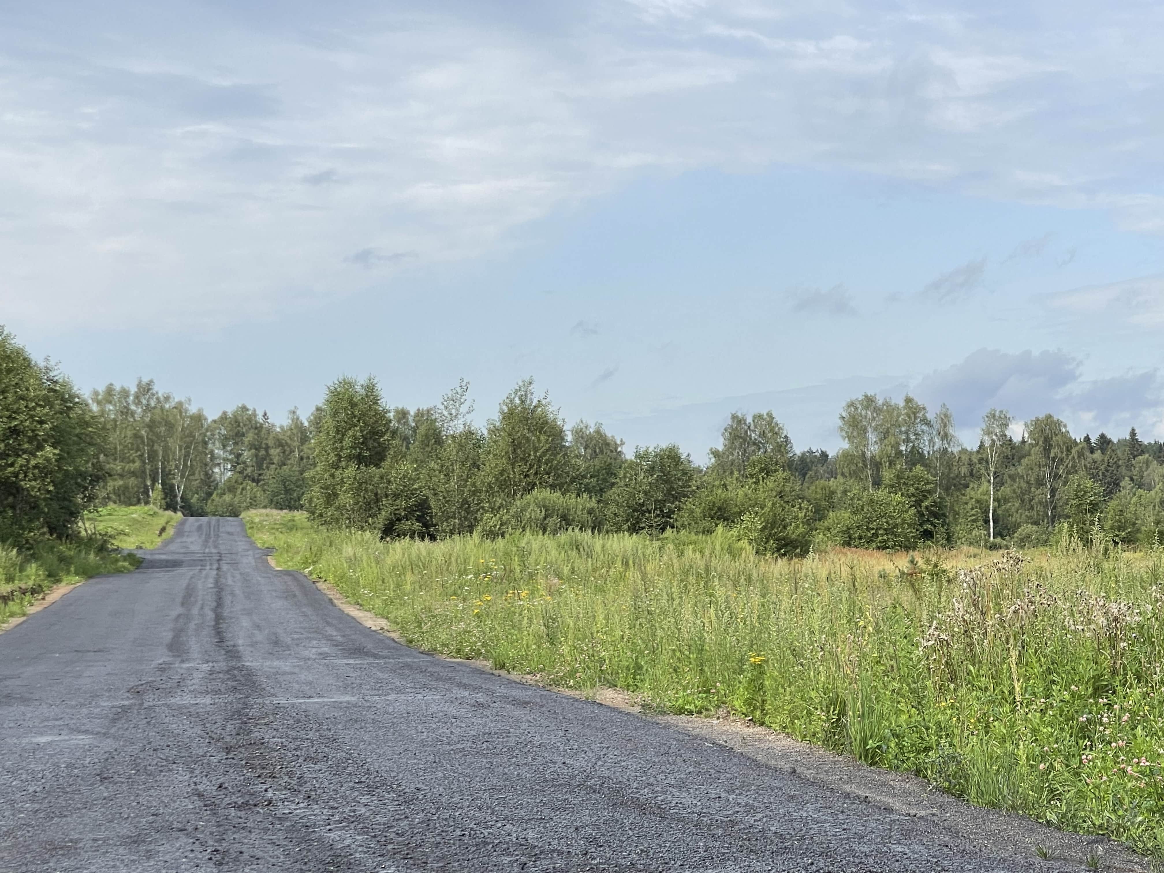 вид на участок 350 в Ассаурово