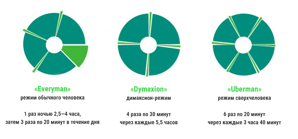 Основные режимы полифазного сна: Everyman, Dymaxion, Uberman. Тёмно-зелёным цветом обозначены периоды бодрствования в течение суток, светло-зелёным — периоды сна