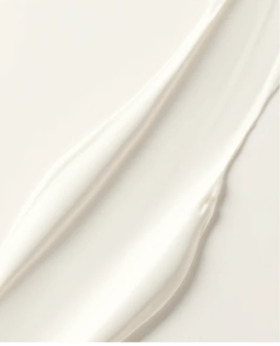 Наша команда