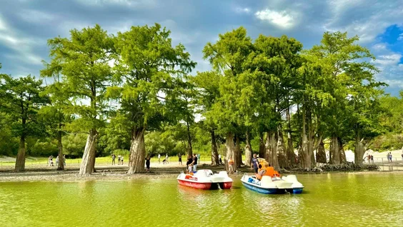экскурсионные программы в отеле Россиянка