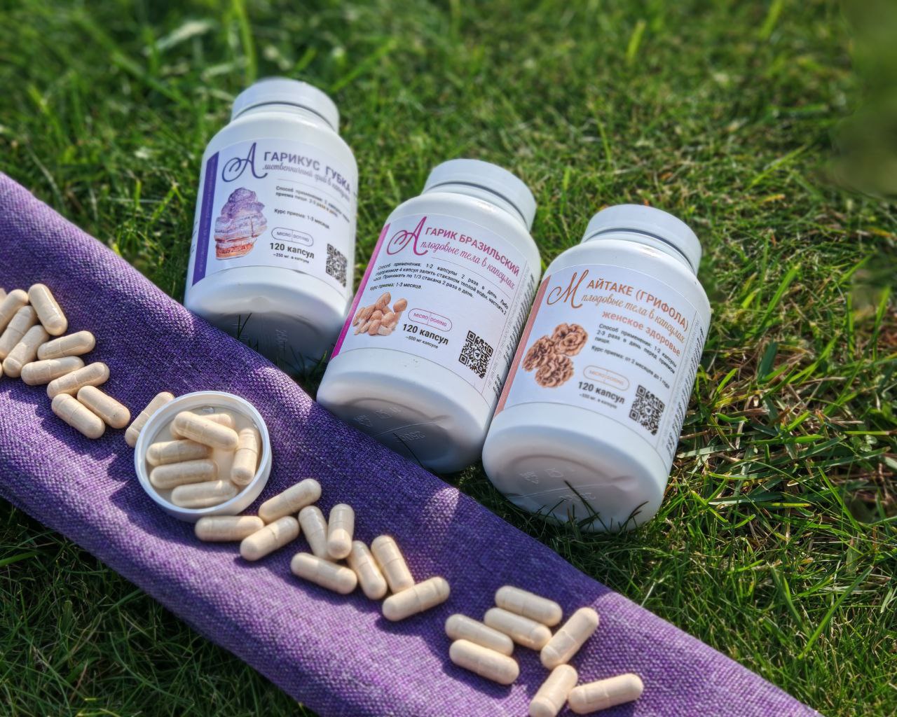 сушеный мухомор оптом купить