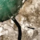 Подключение коммуникаций Подключение коммуникаций