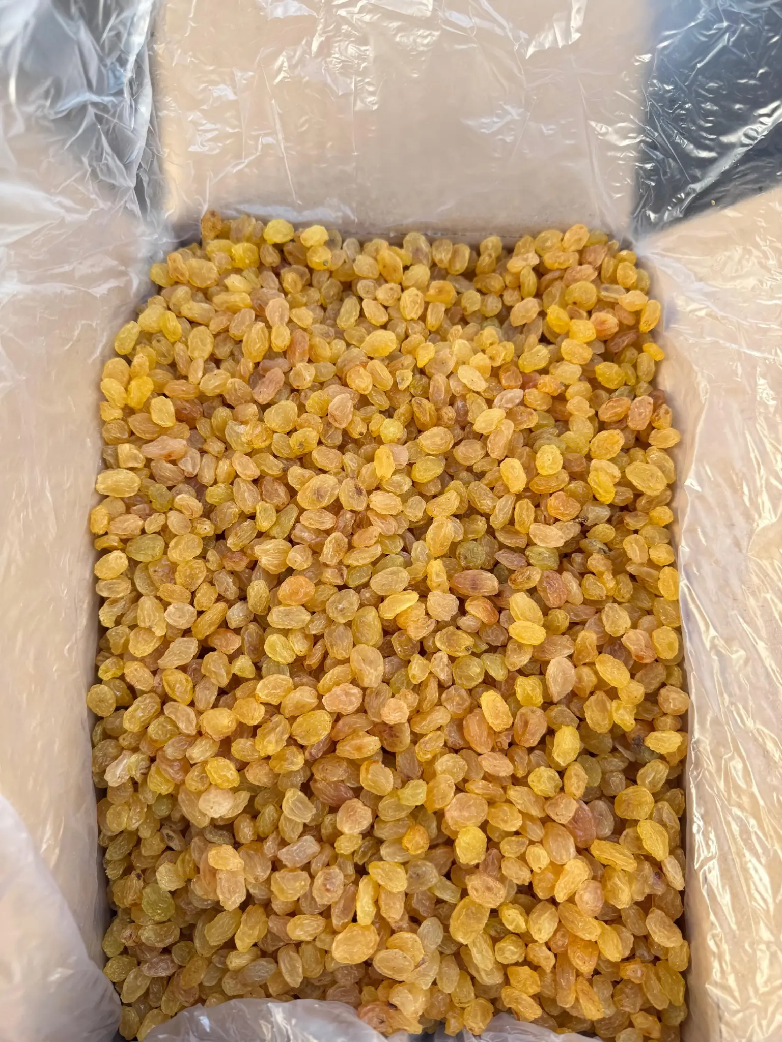 Изюм Голден, п/т