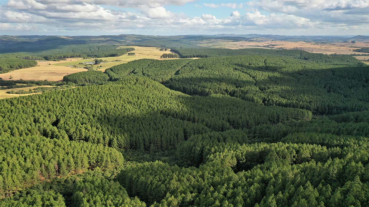Дрон помогает спасателям во время операции Дрон помогает спасателям во время операции