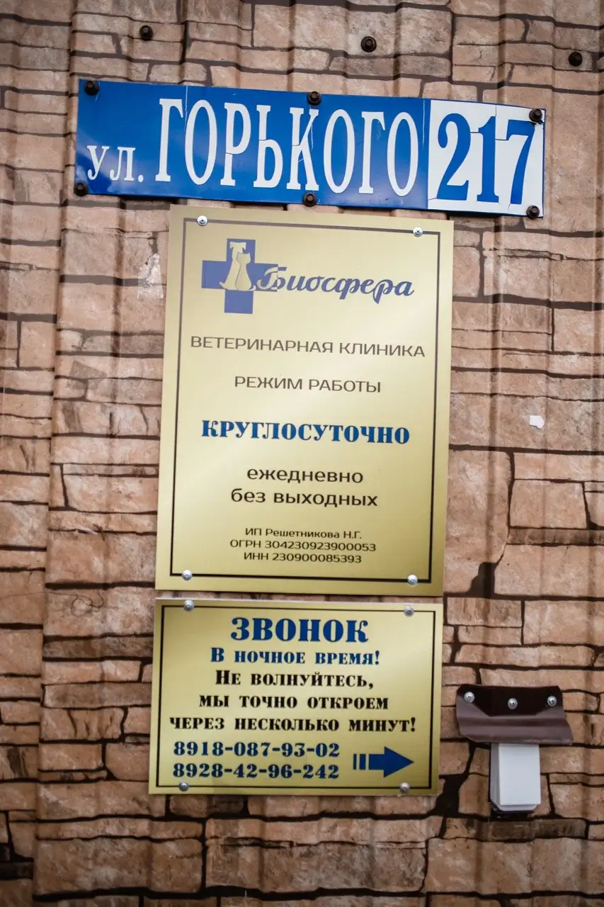 Чистка зубов собаке в Краснодаре цена от 298 рублей