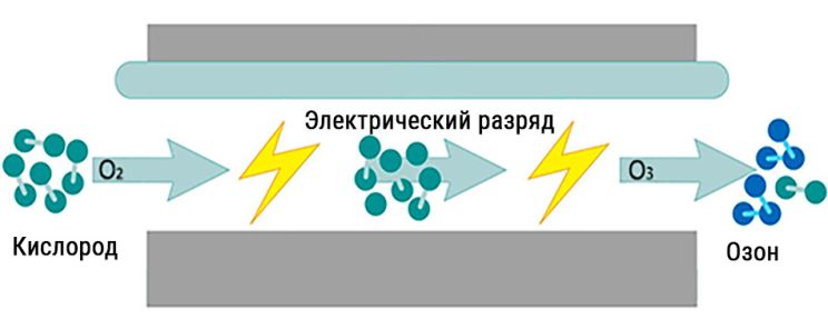 8 полезных гаджетов для мониторинга здоровья