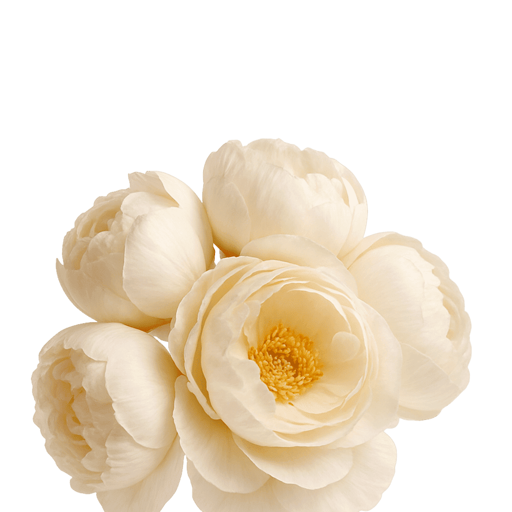 Рестораны и Гастро