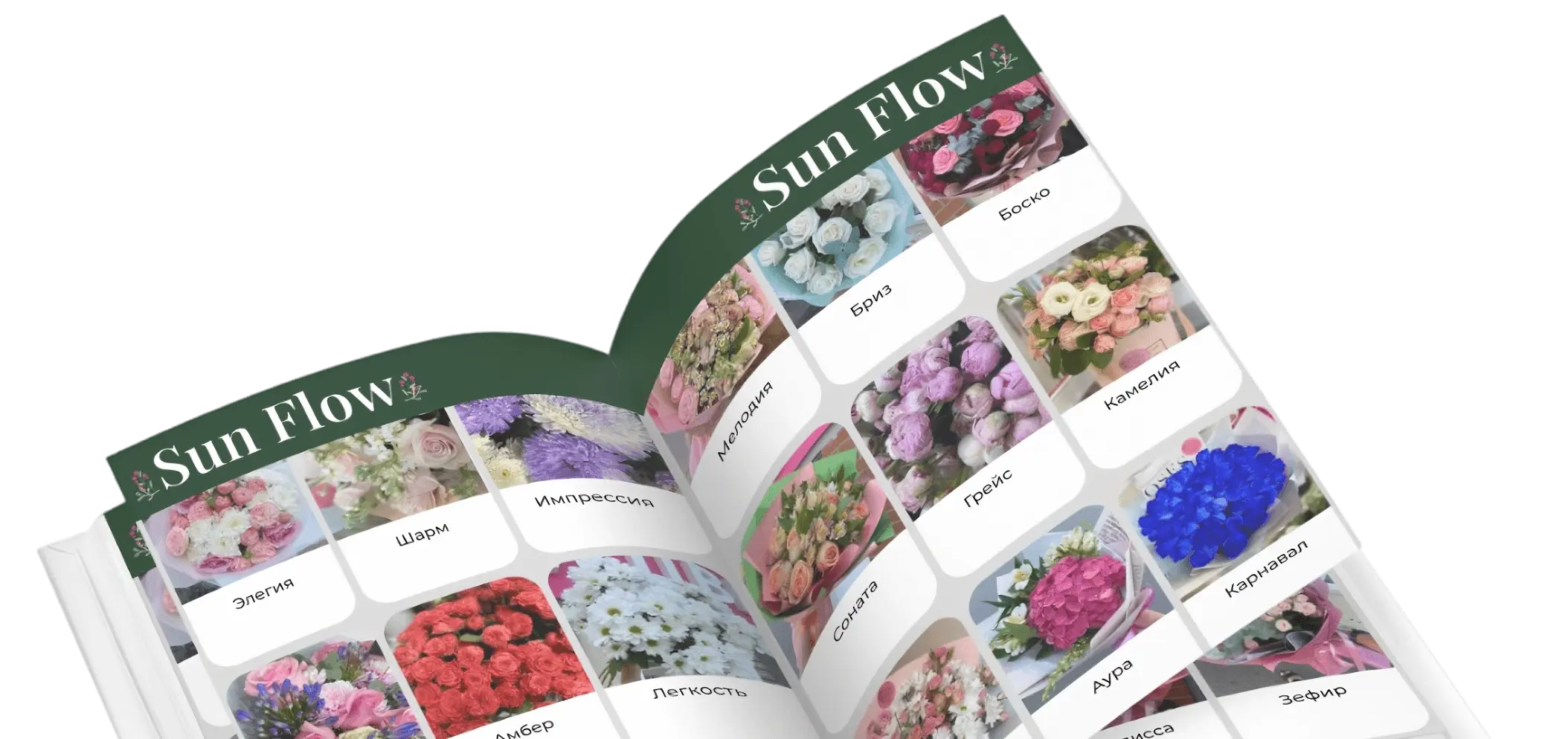 каталог каталог